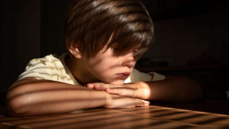 El modelo negligente familiar