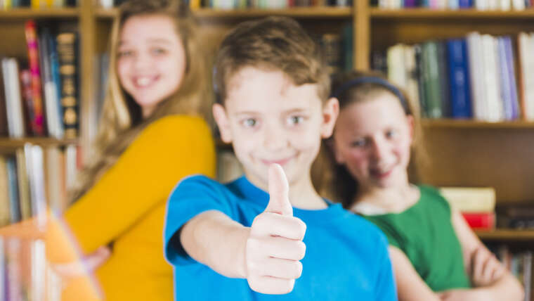 Modelo democrático educativo