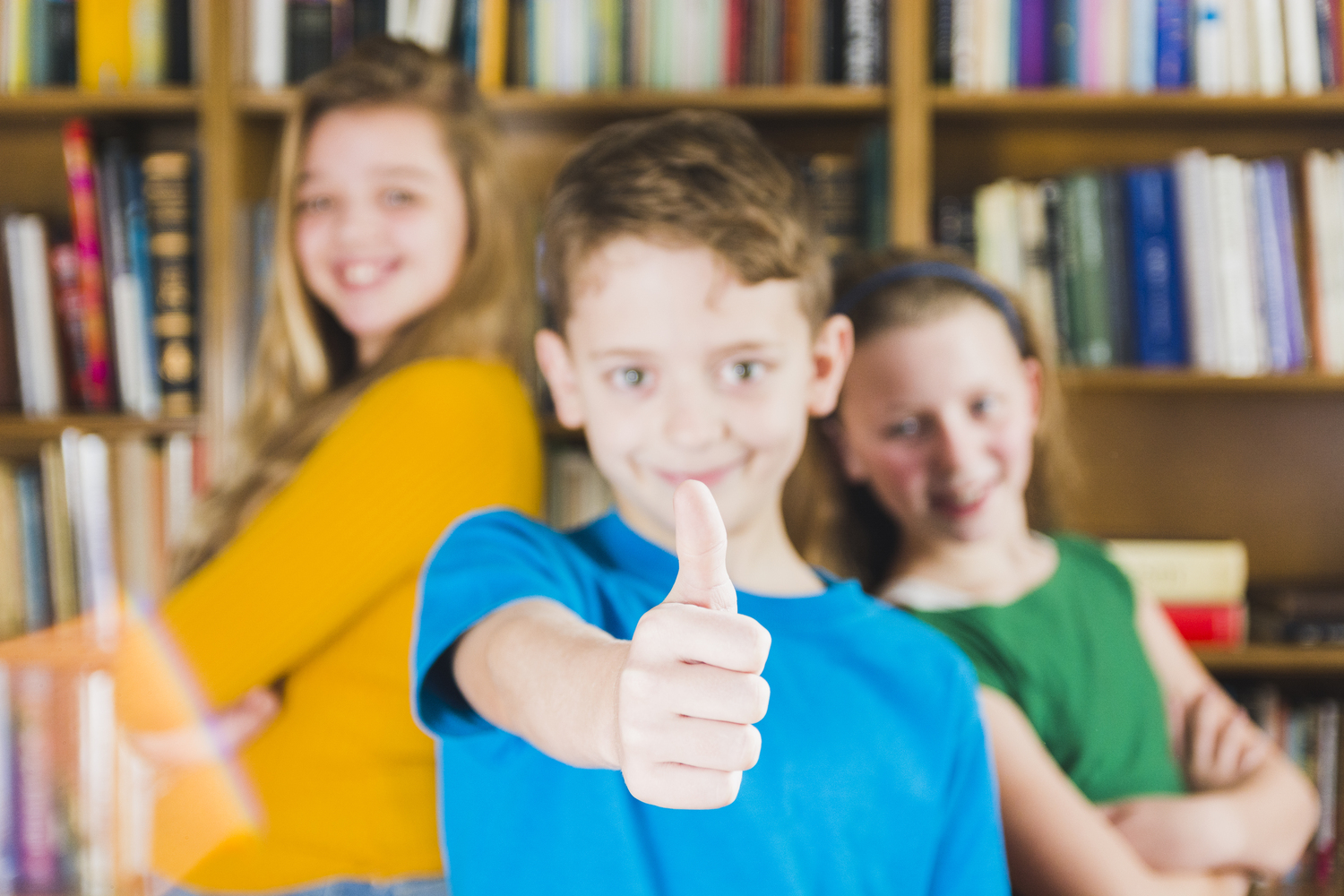 Modelo democrático educativo